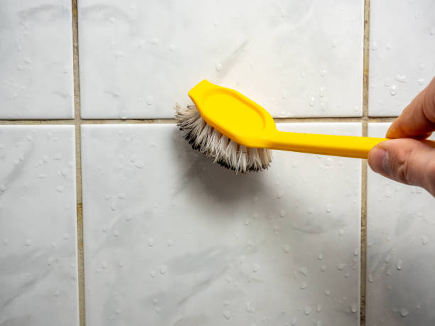 Best Toxic Mold Removal  in Pikeville, KY