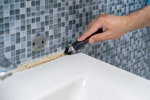 Best Local Mold Removal Service  in Pikeville, KY