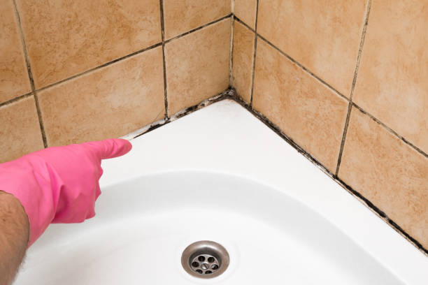 Best Toxic Mold Removal  in Pikeville, KY